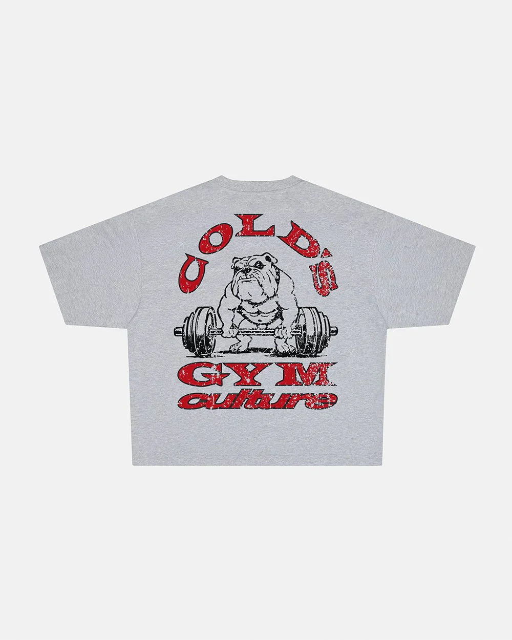 COLD CULTURE COLD´S GYM BOXY TEE
